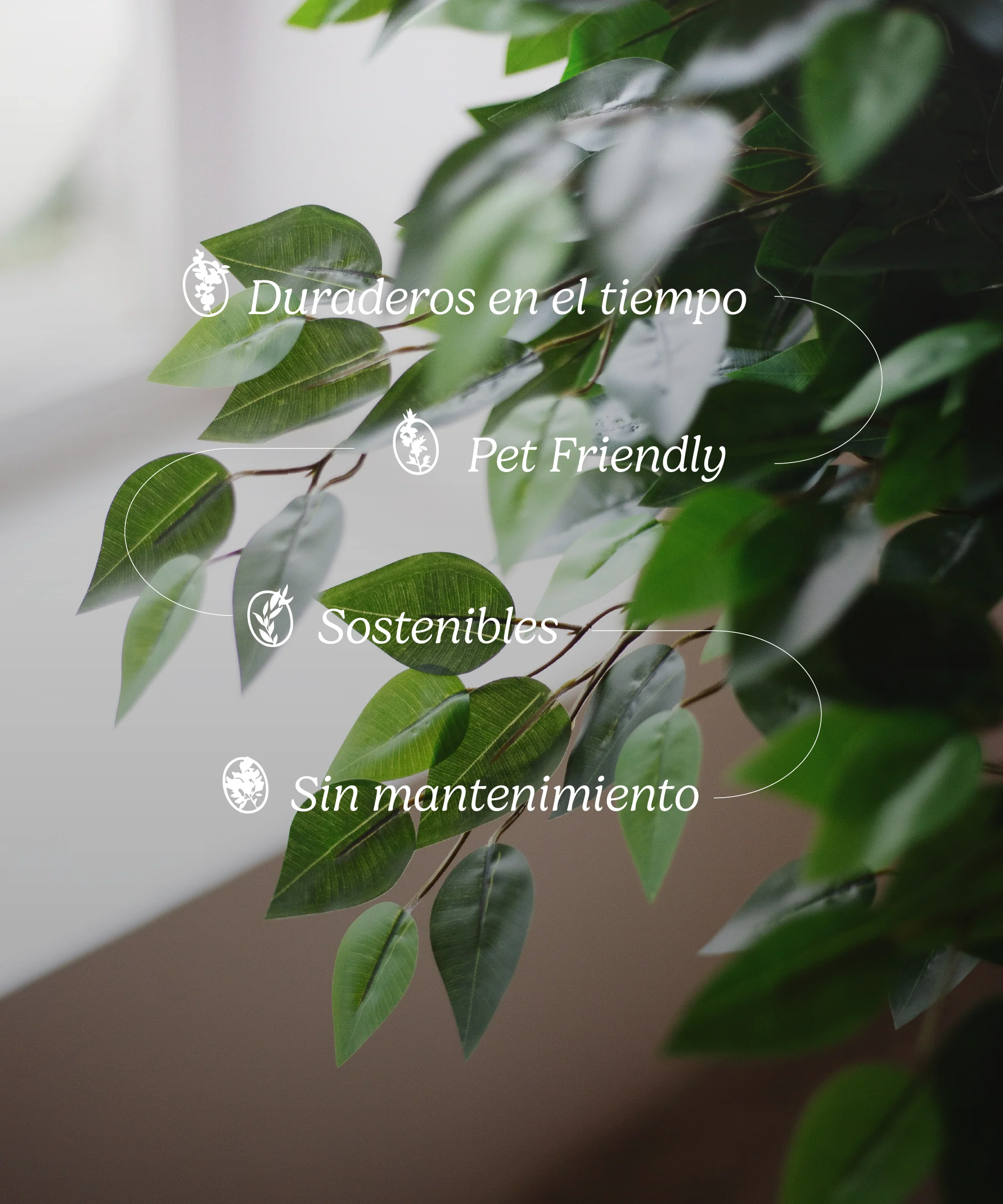 Imagen del producto 9