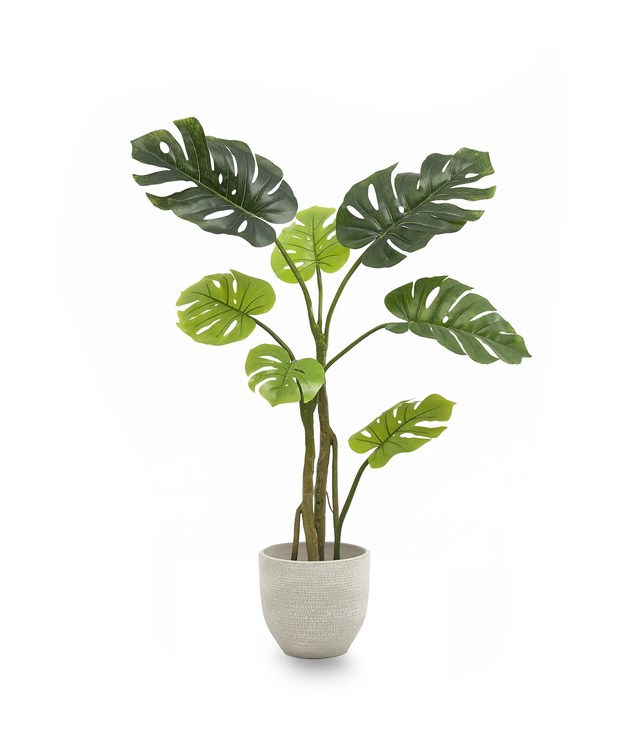 Imagen del producto 8