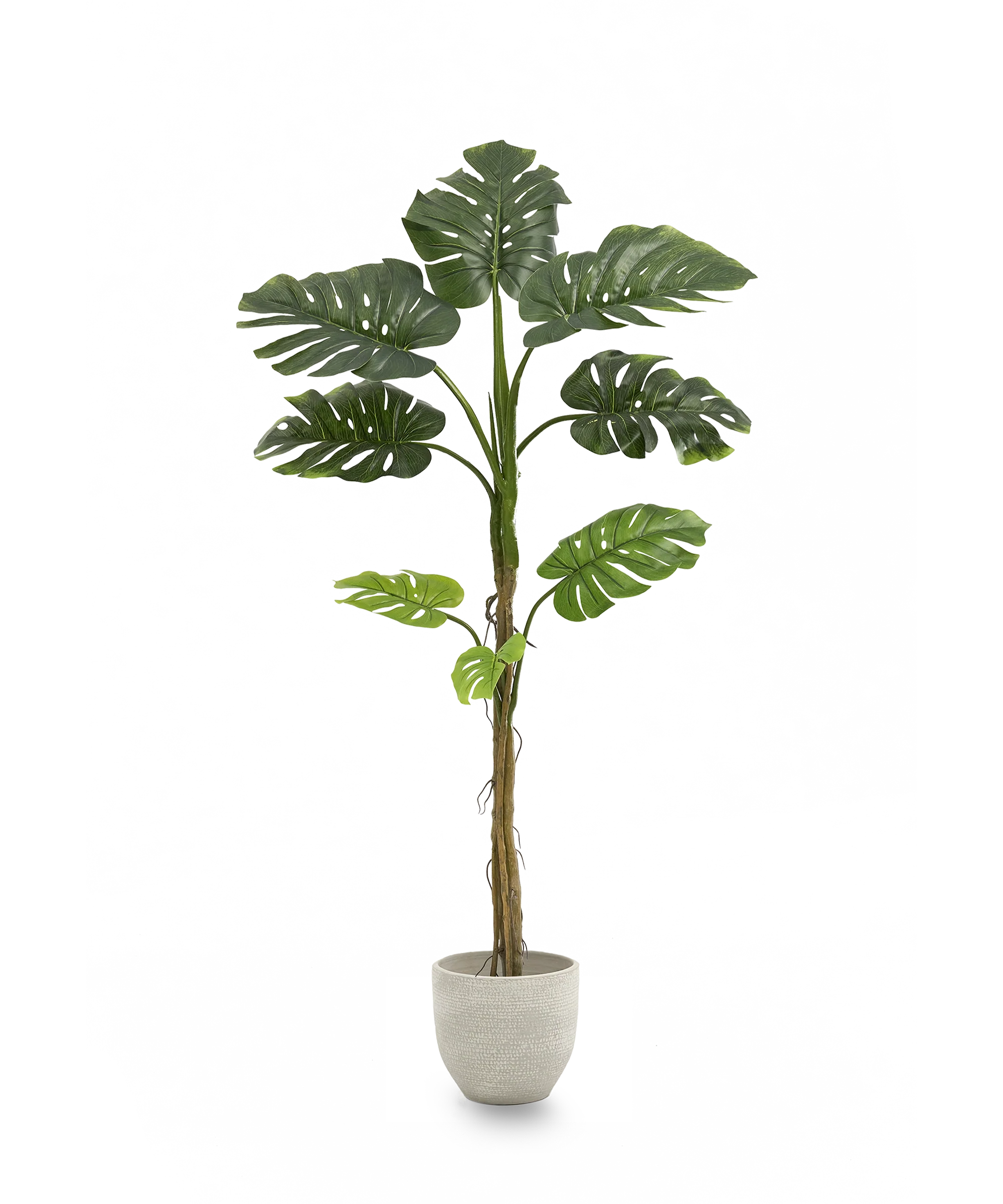 Imagen del producto 9