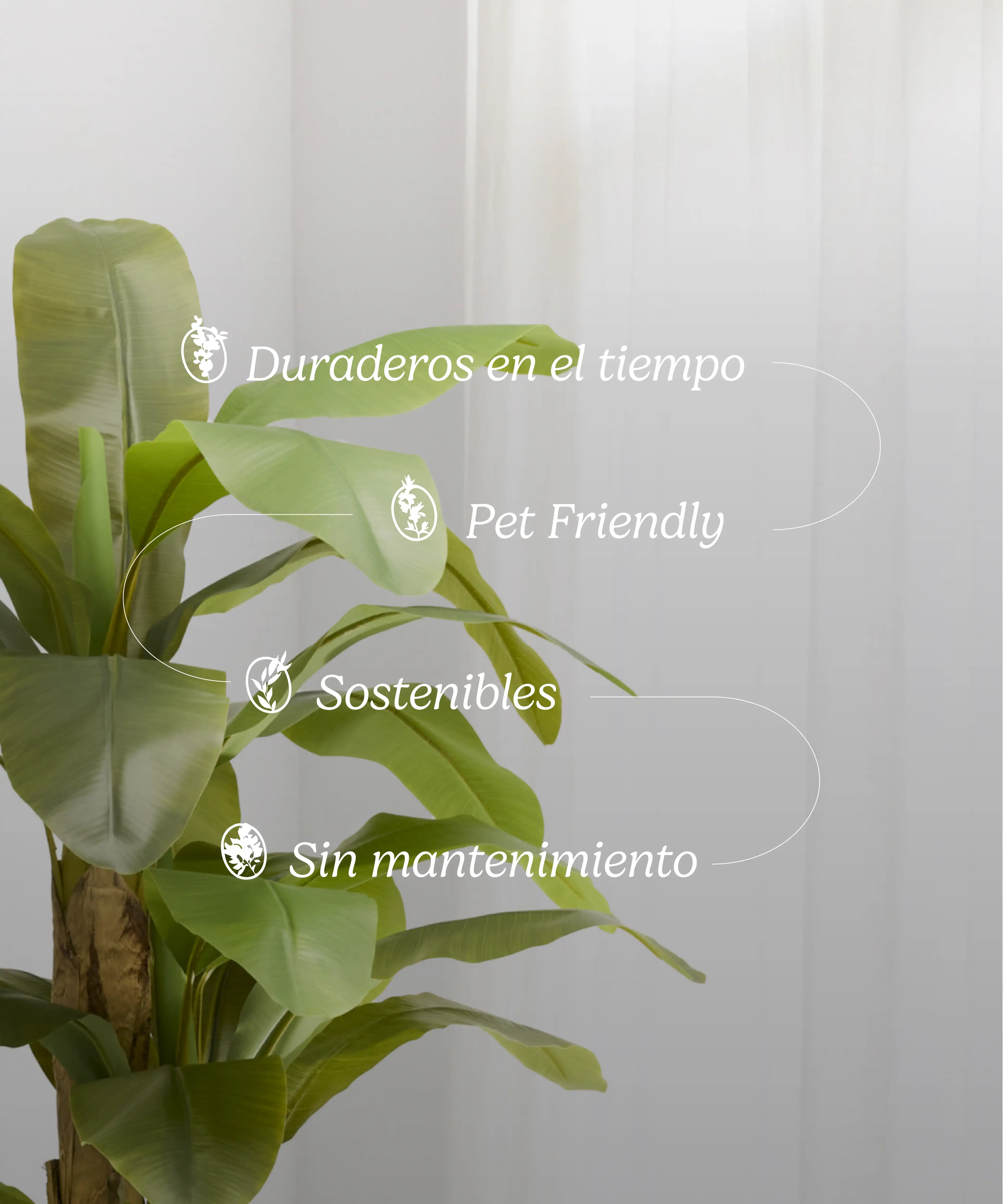 Imagen del producto 13